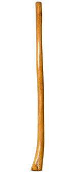 Gloss Finish Flared Didgeridoo (TW1305)